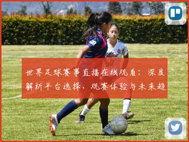 世界足球赛事直播在线观看：深度解析平台选择、观赛体验与未来趋势