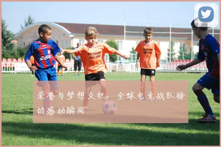 荣誉与梦想交织,全球电竞战队榜的感动瞬间